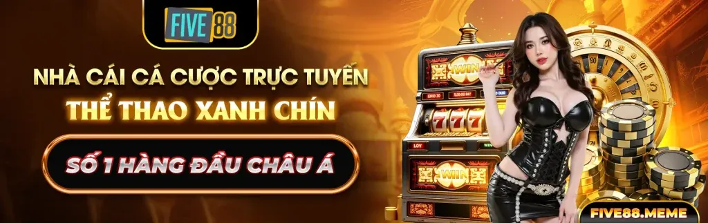 Hoàn trả cực cao